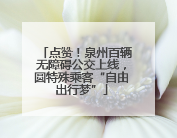 点赞！泉州百辆无障碍公交上线，圆特殊乘客“自由出行梦”