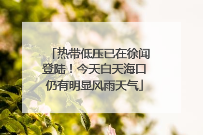 热带低压已在徐闻登陆！今天白天海口仍有明显风雨天气