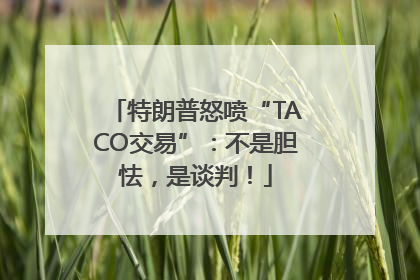 特朗普怒喷“TACO交易”：不是胆怯，是谈判！