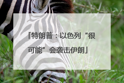 特朗普：以色列“很可能”会袭击伊朗