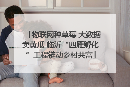 物联网种草莓 大数据卖黄瓜 临沂“四雁孵化”工程链动乡村共富