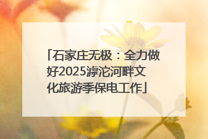 石家庄无极：全力做好2025滹沱河畔文化旅游季保电工作