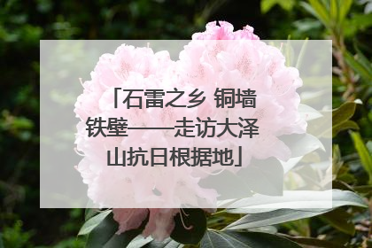 石雷之乡 铜墙铁壁——走访大泽山抗日根据地