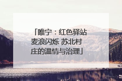 睢宁：红色驿站麦浪闪烁 苏北村庄的温情与治理