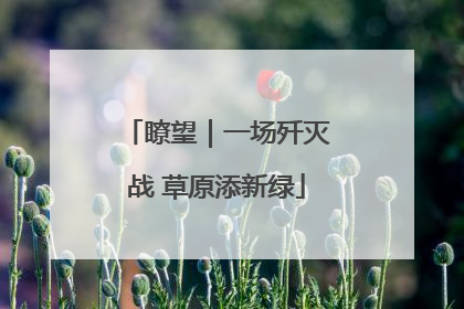 瞭望｜一场歼灭战 草原添新绿