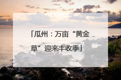 瓜州：万亩“黄金草”迎来丰收季