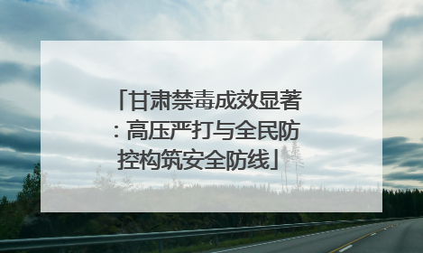 甘肃禁毒成效显著：高压严打与全民防控构筑安全防线