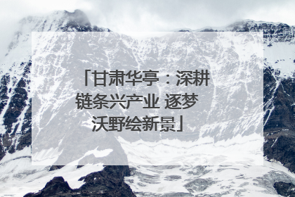 甘肃华亭：深耕链条兴产业 逐梦沃野绘新景