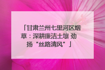 甘肃兰州七里河区烟草：深耕廉洁土壤 劲扬“丝路清风”