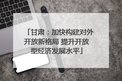 甘肃：加快构建对外开放新格局 提升开放型经济发展水平