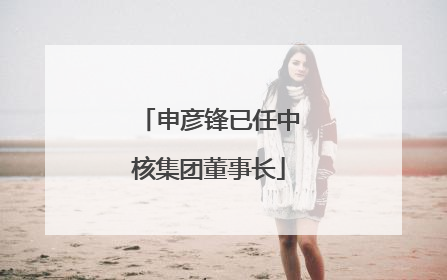 申彦锋已任中核集团董事长