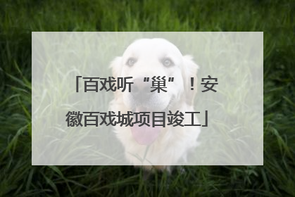 百戏听“巢”！安徽百戏城项目竣工