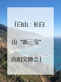 白山：长白山“新三宝”亮相文博会