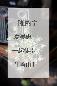 相约宁夏吴忠 一起徒步牛首山