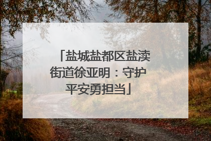 盐城盐都区盐渎街道徐亚明：守护平安勇担当