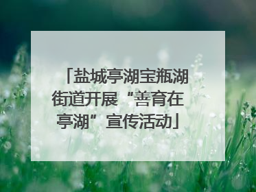 盐城亭湖宝瓶湖街道开展“善育在亭湖”宣传活动