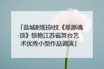 盐城射阳杂技《草原魂·顶》惊艳江苏省舞台艺术优秀小型作品调演
