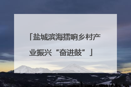 盐城滨海擂响乡村产业振兴“奋进鼓”