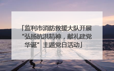 监利市消防救援大队开展“弘扬抗洪精神，献礼建党华诞”主题党日活动