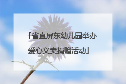 省直屏东幼儿园举办爱心义卖捐赠活动