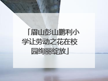 眉山彭山鹏利小学让劳动之花在校园绚丽绽放