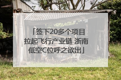 签下20多个项目 拉起飞行产业链 浙南低空C位呼之欲出
