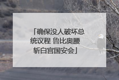 确保没人破坏总统议程 鲁比奥腰斩白宫国安会