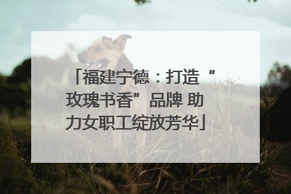福建宁德：打造“玫瑰书香”品牌 助力女职工绽放芳华