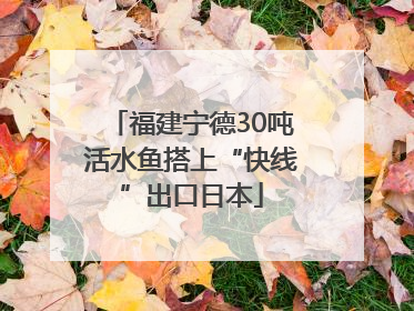 福建宁德30吨活水鱼搭上“快线”出口日本