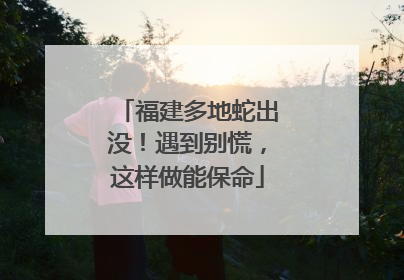 福建多地蛇出没！遇到别慌，这样做能保命