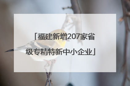 福建新增207家省级专精特新中小企业