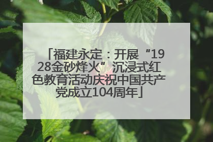福建永定：开展“1928金砂烽火”沉浸式红色教育活动庆祝中国共产党成立104周年