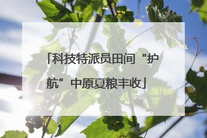 科技特派员田间“护航”中原夏粮丰收