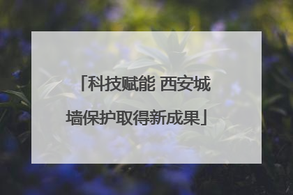 科技赋能 西安城墙保护取得新成果