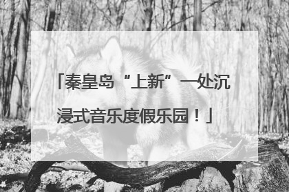 秦皇岛“上新”一处沉浸式音乐度假乐园！