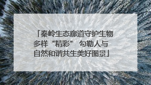秦岭生态廊道守护生物多样“精彩” 勾勒人与自然和谐共生美好图景