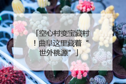 空心村变宝藏村！曲阜这里藏着“世外桃源”