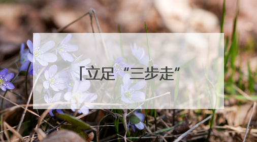 立足“三步走”，多彩文明实践绘就幸福画卷
