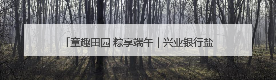 童趣田园 粽享端午｜兴业银行盐城分行举办六一亲子嘉年华活动