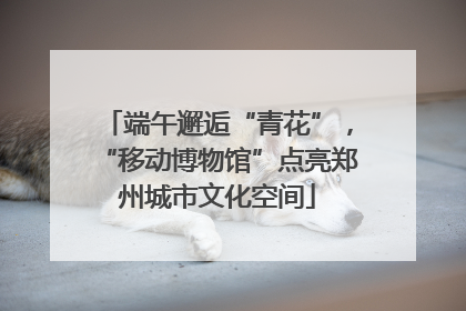 端午邂逅“青花”，“移动博物馆”点亮郑州城市文化空间