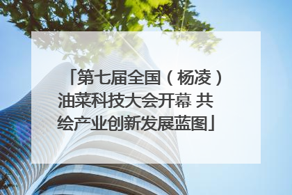 第七届全国（杨凌）油菜科技大会开幕 共绘产业创新发展蓝图