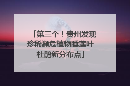 第三个！贵州发现珍稀濒危植物睡莲叶杜鹃新分布点