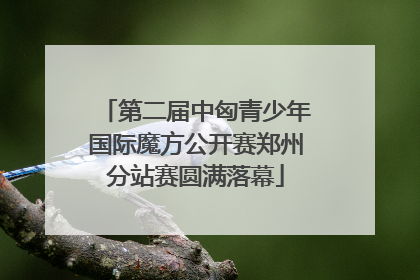 第二届中匈青少年国际魔方公开赛郑州分站赛圆满落幕