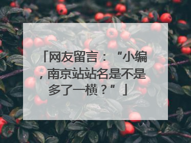 网友留言：“小编，南京站站名是不是多了一横？”