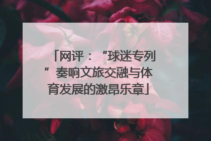 网评：“球迷专列”奏响文旅交融与体育发展的激昂乐章