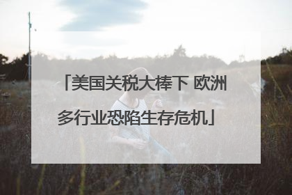美国关税大棒下 欧洲多行业恐陷生存危机
