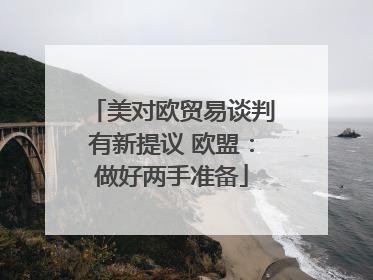 美对欧贸易谈判有新提议 欧盟：做好两手准备
