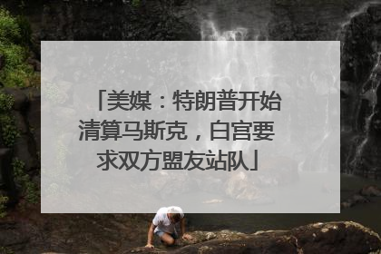 美媒：特朗普开始清算马斯克，白宫要求双方盟友站队
