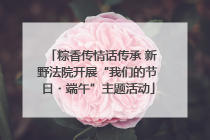 粽香传情话传承 新野法院开展“我们的节日・端午”主题活动