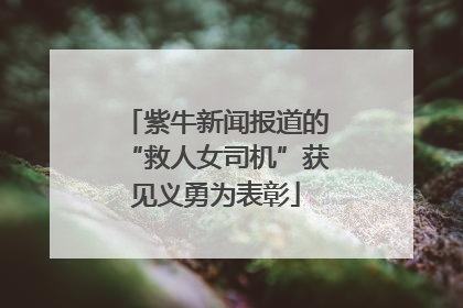 紫牛新闻报道的“救人女司机”获见义勇为表彰